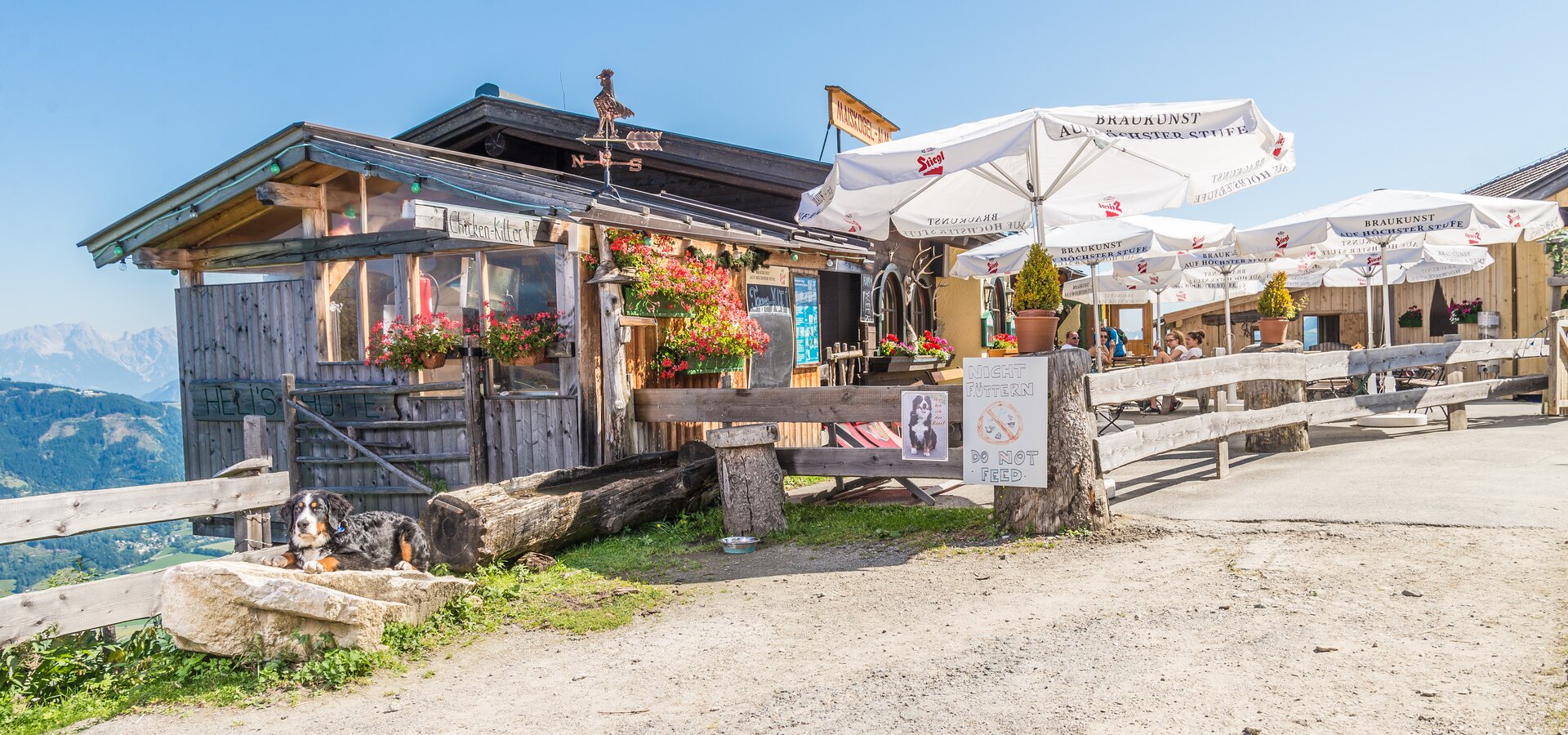 Cosy mountain restaurant with petting zoo in 1.545 m above sea level | © Kitzsteinhorn