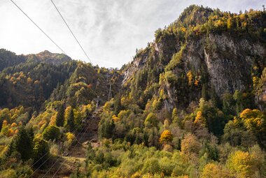 Entlang der Seilbahnachse wurde kräftig aufgeforstet  | © Edith Danzer